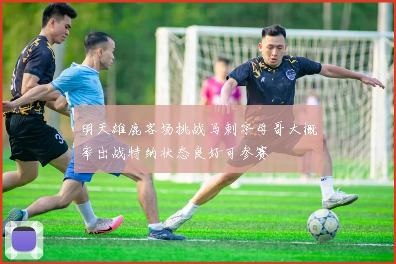明天雄鹿客场挑战马刺字母哥大概率出战特纳状态良好可参赛