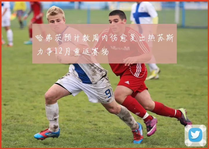 哈弗茨预计数周内伤愈复出热苏斯力争12月重返赛场