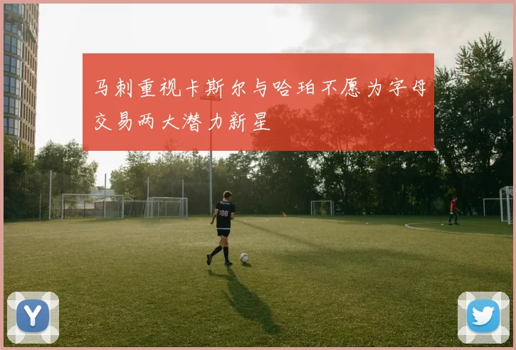 马刺重视卡斯尔与哈珀不愿为字母交易两大潜力新星